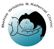 Belize Wildlife and Referral Clinic