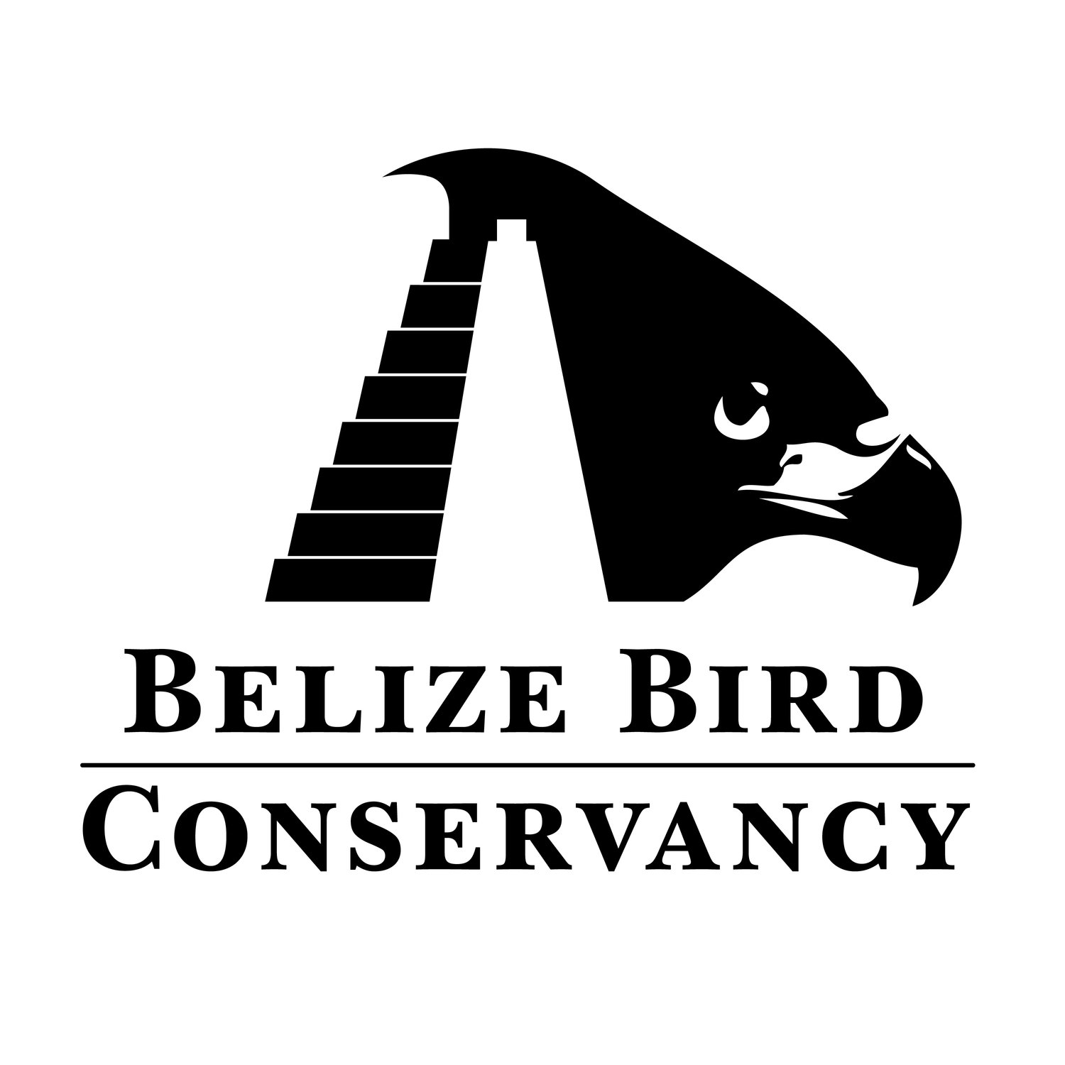 Belize Bird Conservancy 