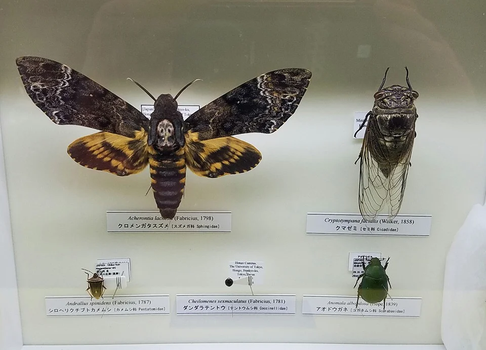 University of Tokyo Science Museum, Tokyo, Japan