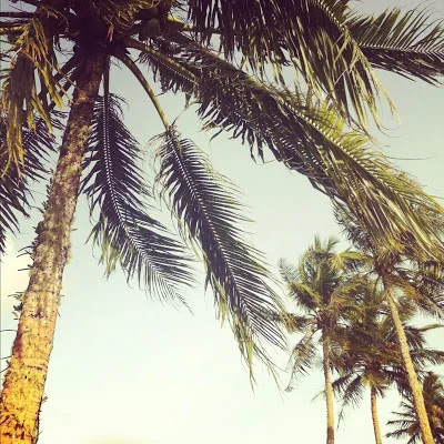 This Week in Instagram