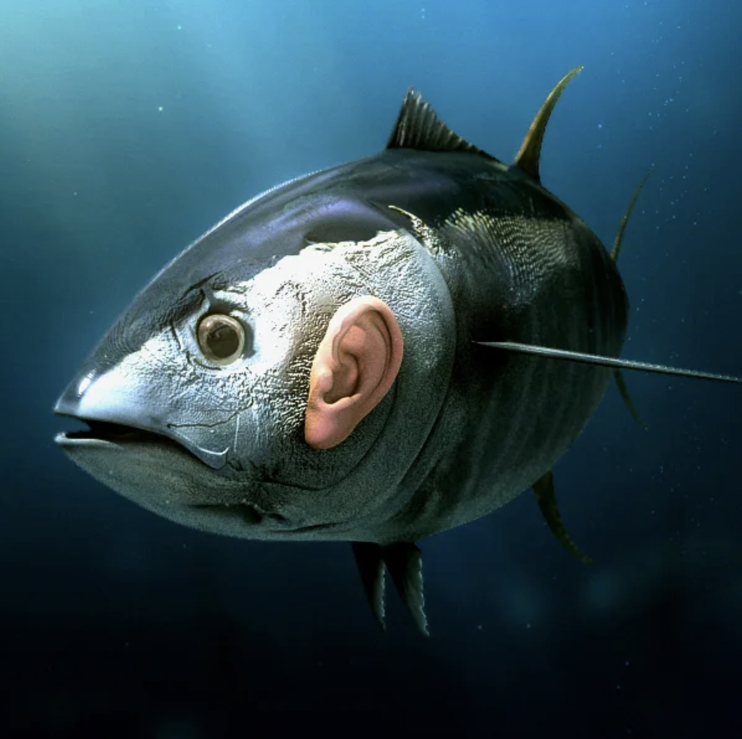 Calvo / Publicis / 3D Animation / Fer Cimino + Rocky