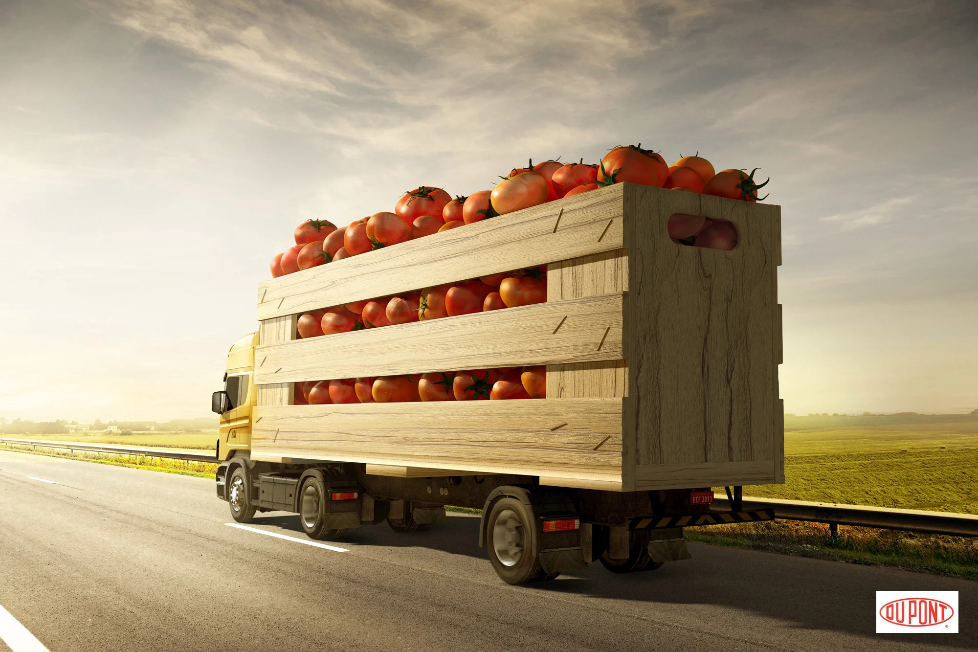 Art direction 22.jpeg