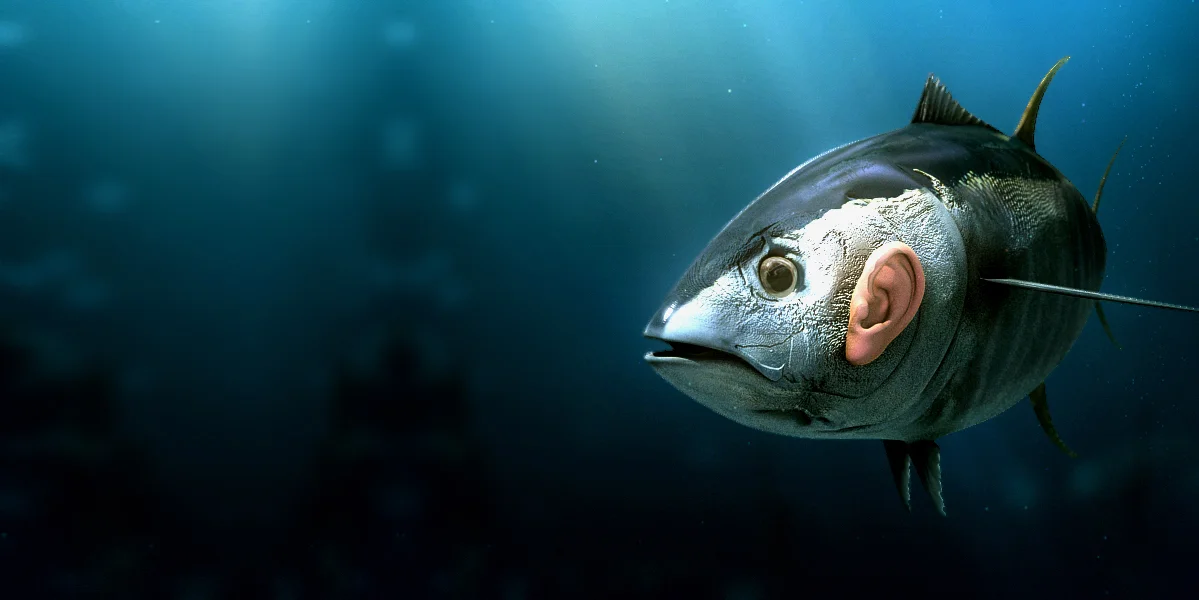 Art direction 17.jpeg