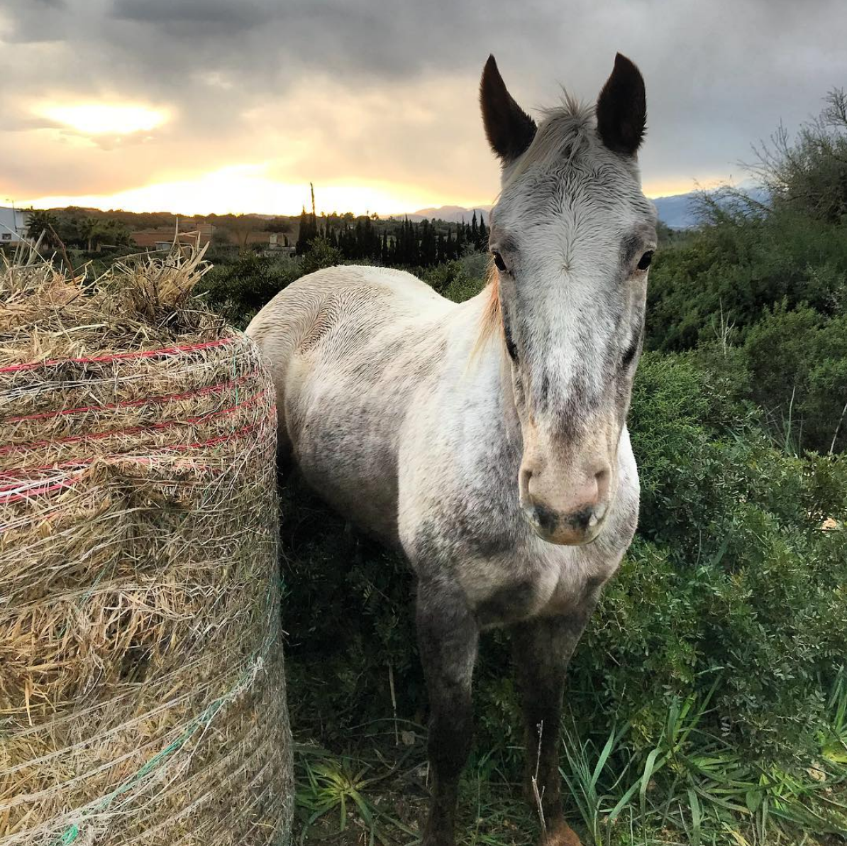 Screen Shot 2018-09-26 at 15.23.13.png