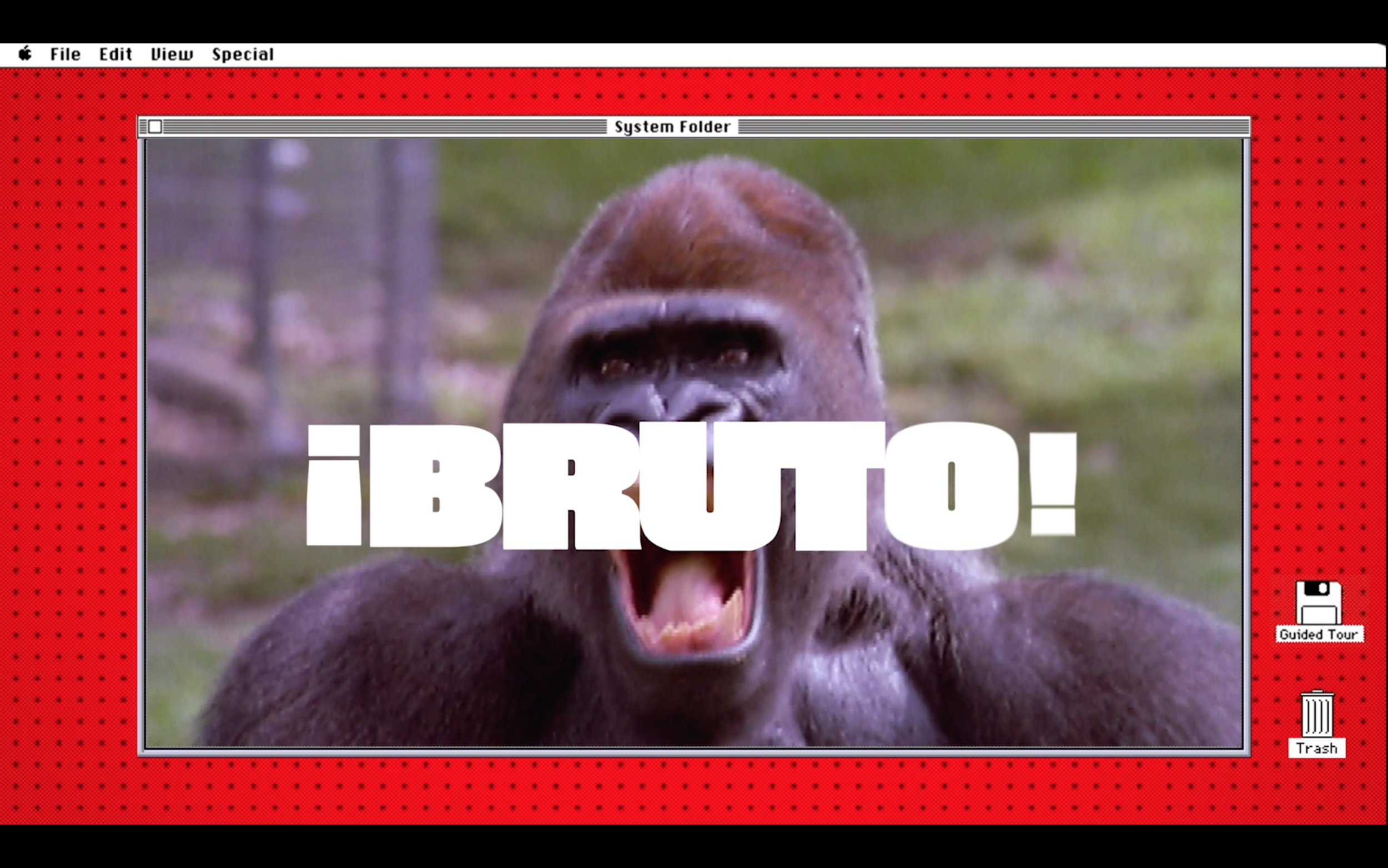 Screenshot 2020-05-15 at 13.43.38.png