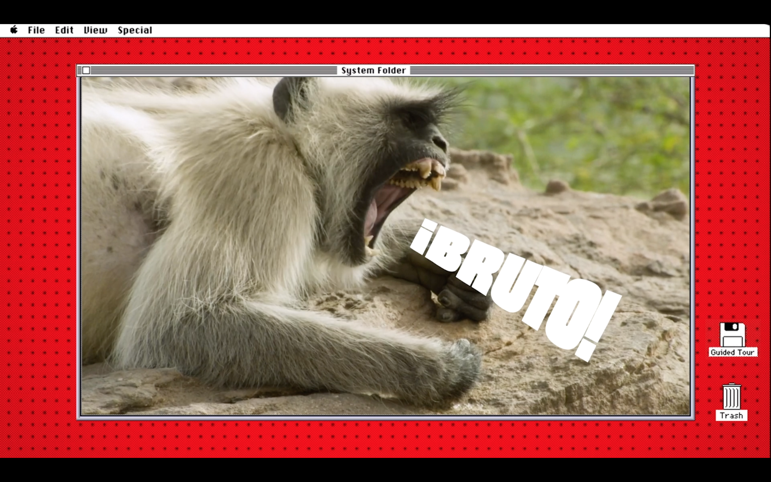 Screenshot 2020-05-15 at 13.43.53.png