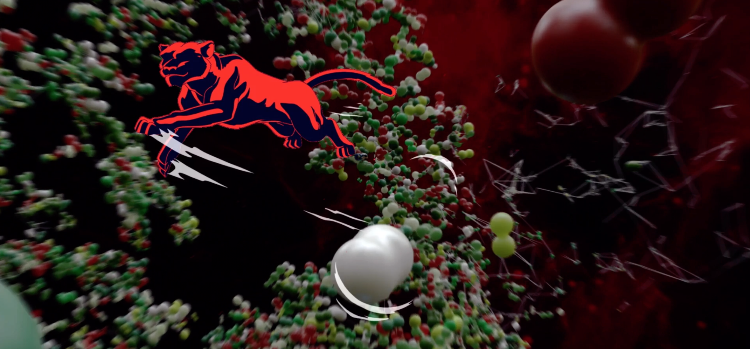 Screenshot 2021-08-08 at 12.06.44.png