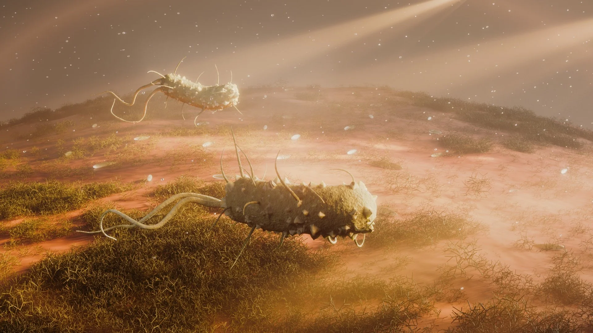 Concept bacteria 02qdsv .jpg