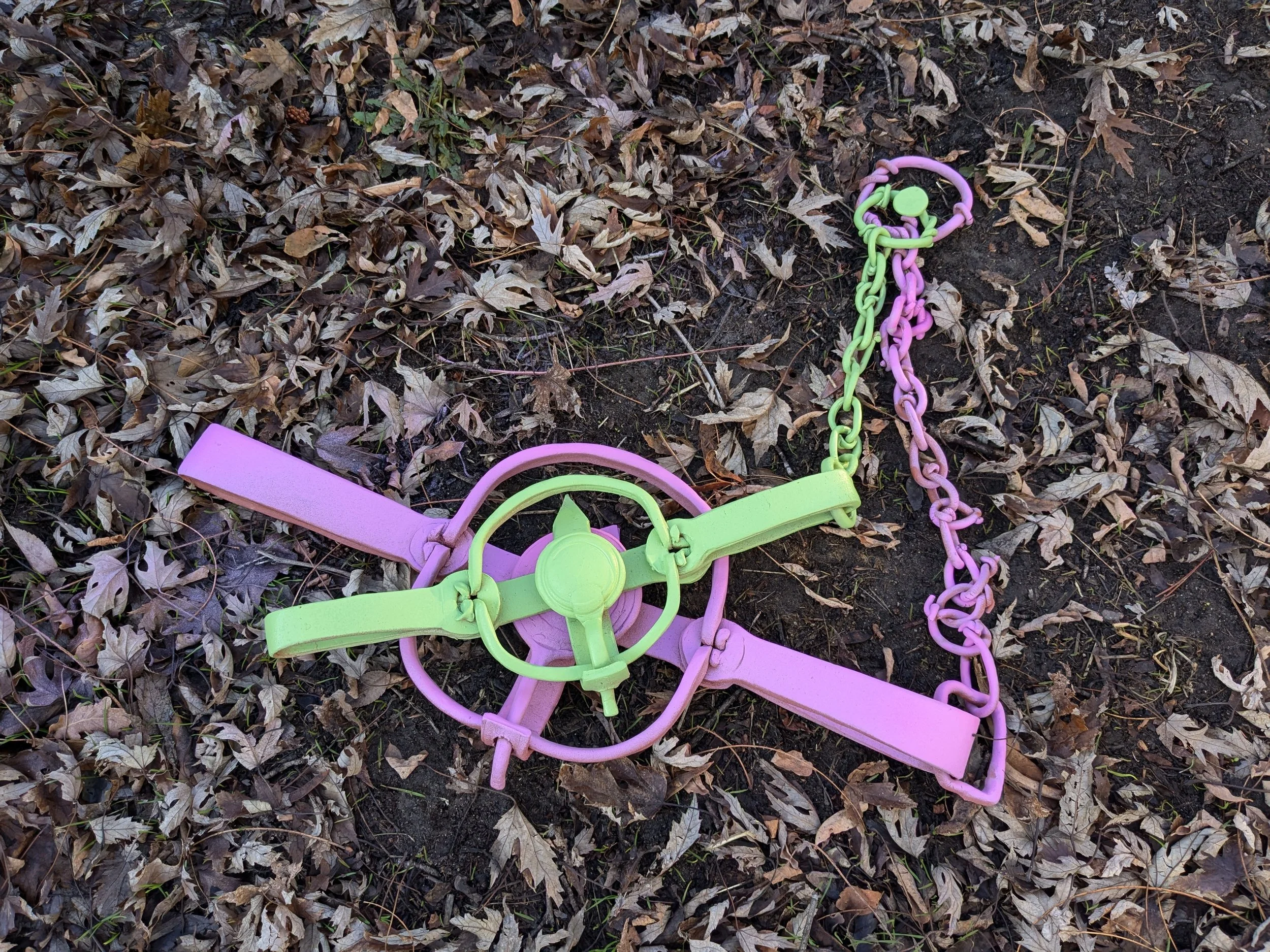 Spring Loaded Trap Landscape #3