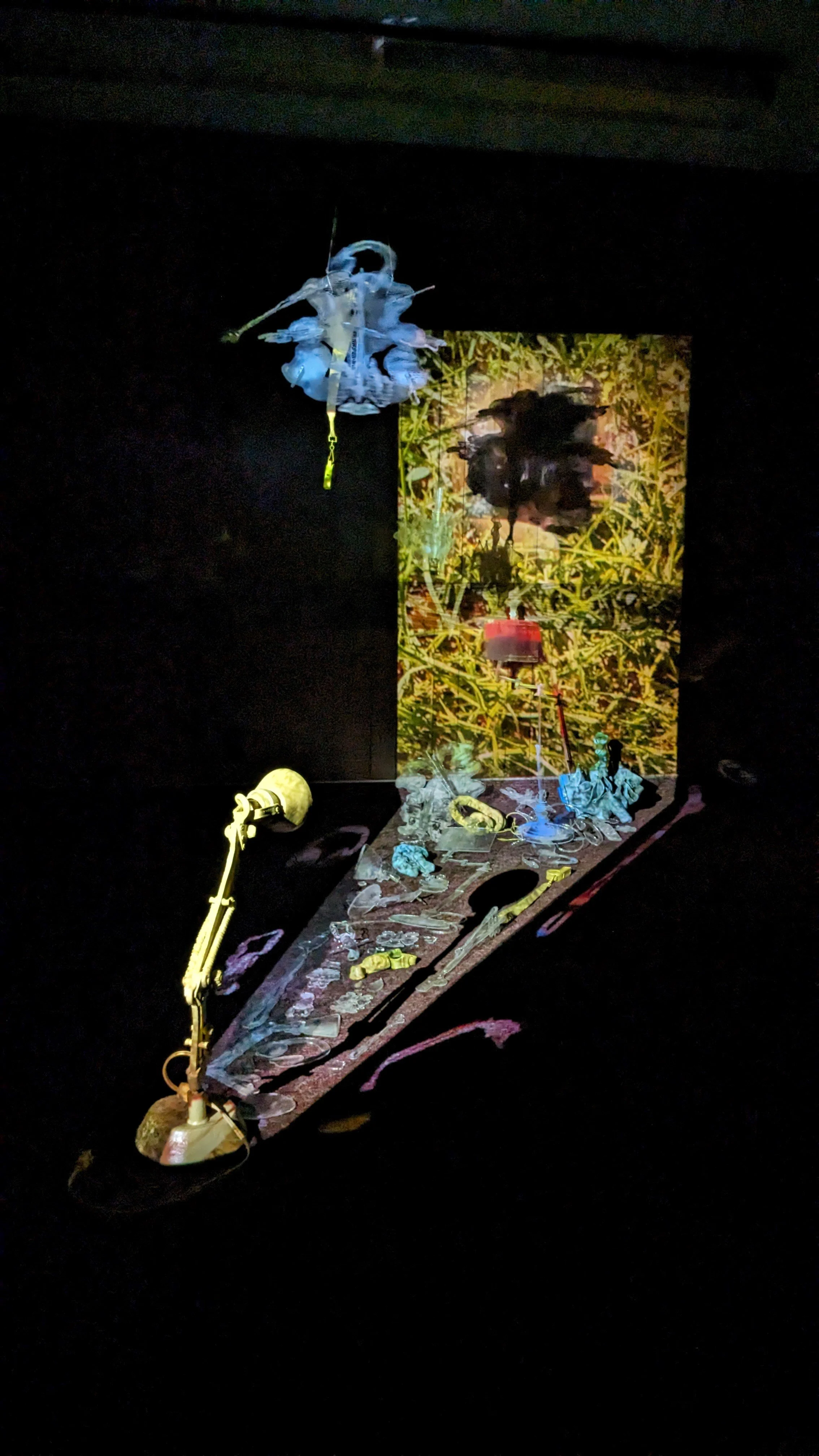 In Search of Greener Grass