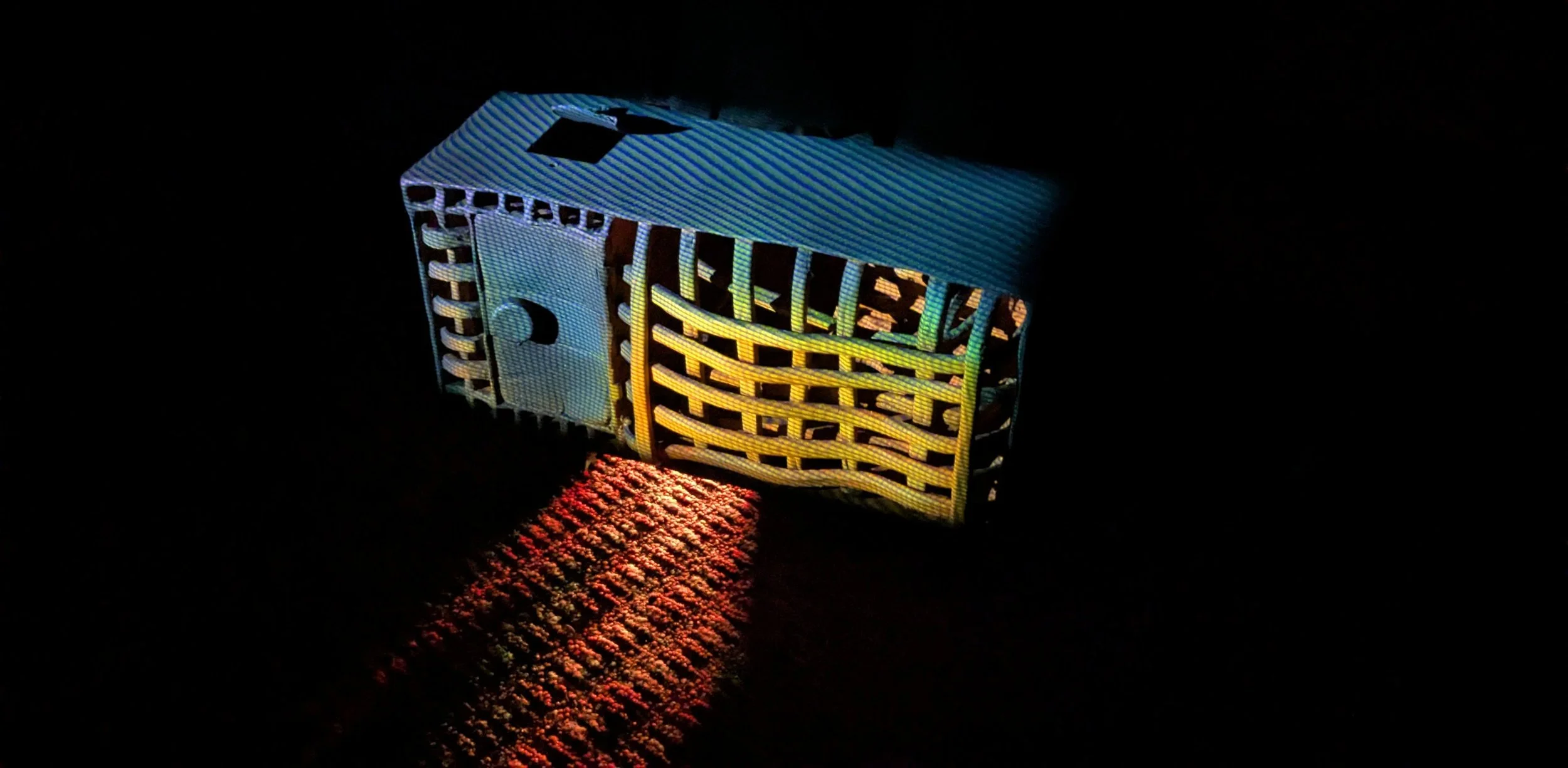 Moth to a Flame (detail 2)