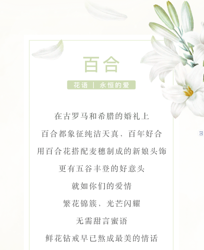 Screen Shot 2019-04-01 at 1.17.42 PM.png