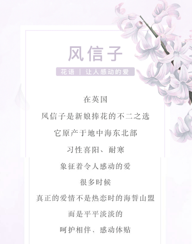 Screen Shot 2019-04-01 at 1.19.25 PM.png