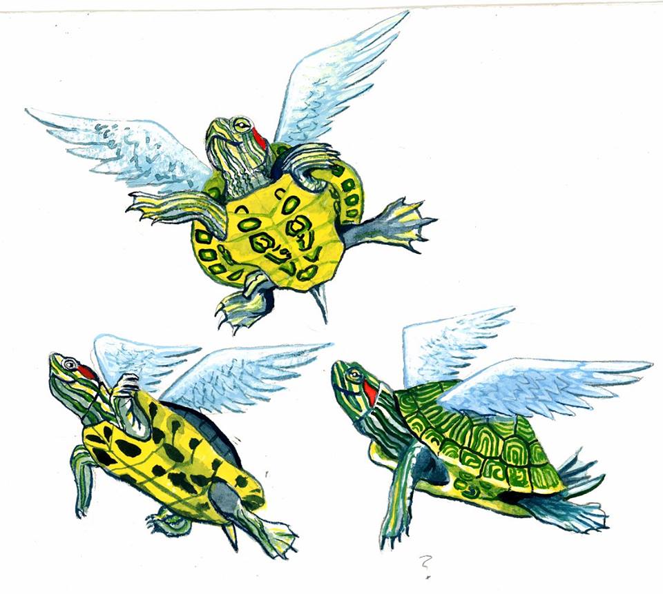 Flying Turtles