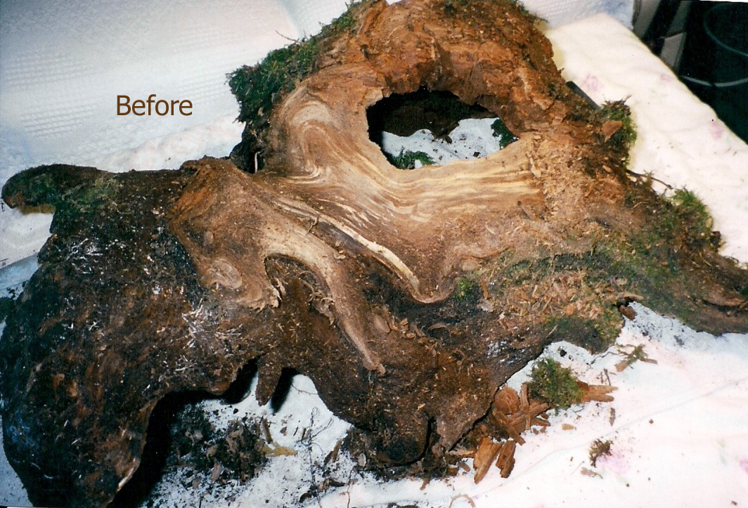 before.jpg