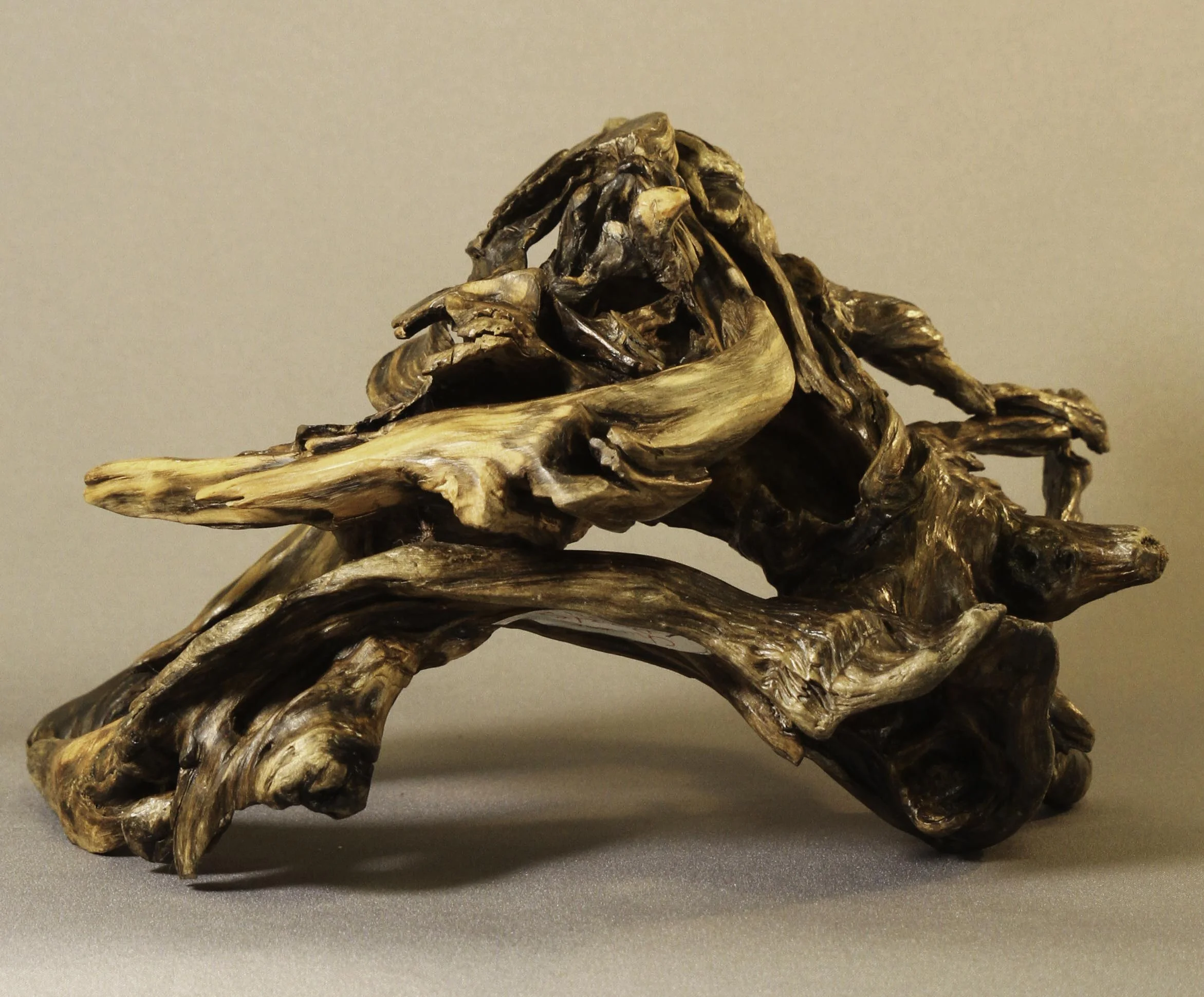 Chinese Puzzle by Carol Hess Davis