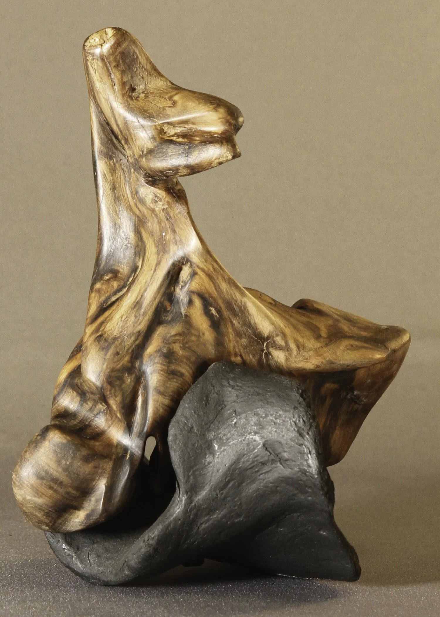 Rocking Howler by Kathy Bachman