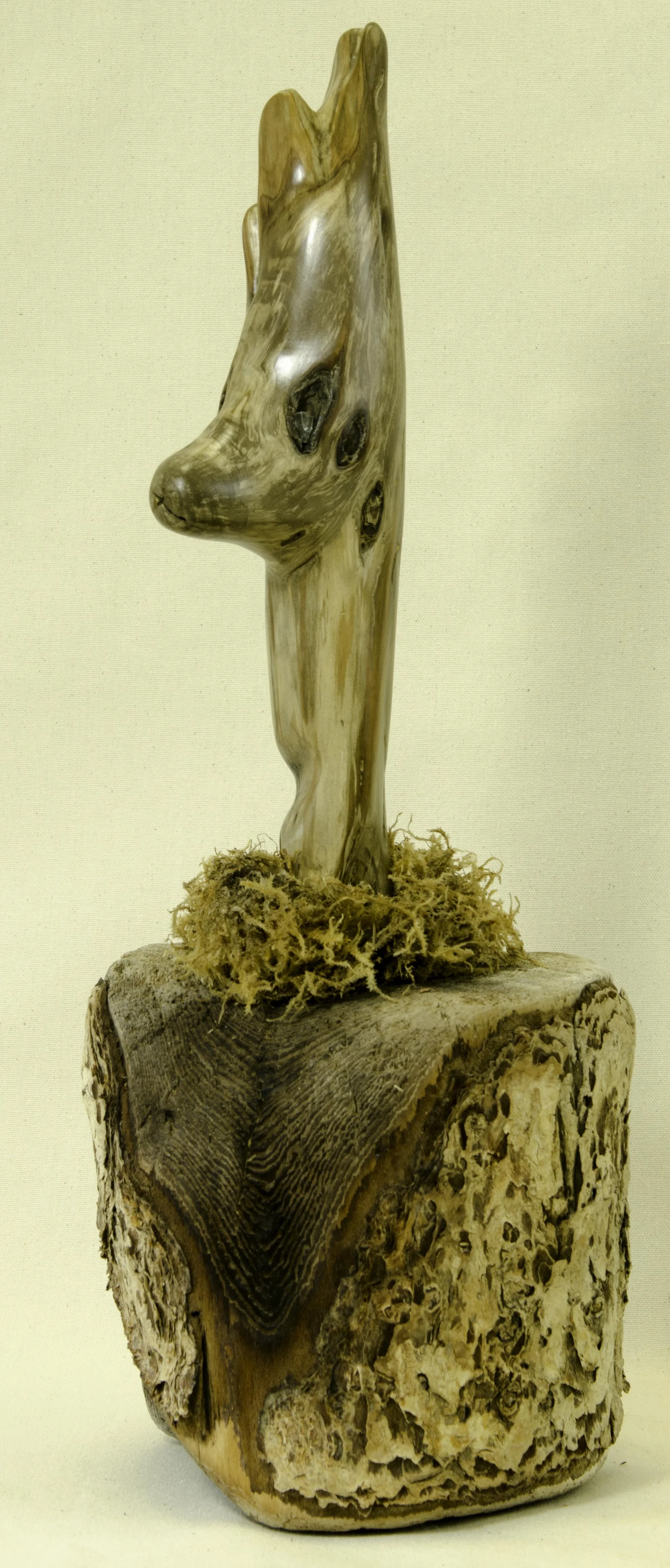I'm Stumped by Linda Hines