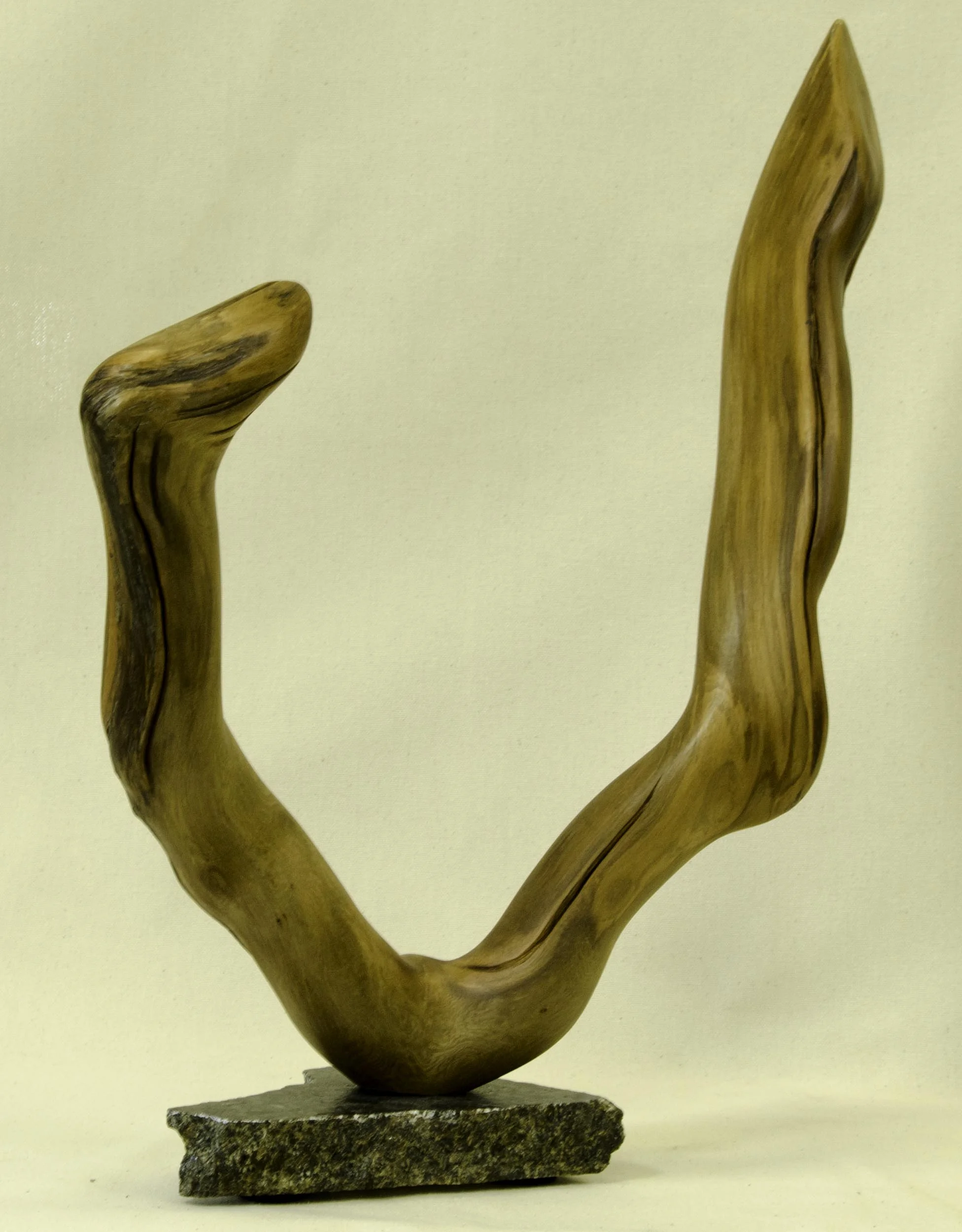 V by George clemons