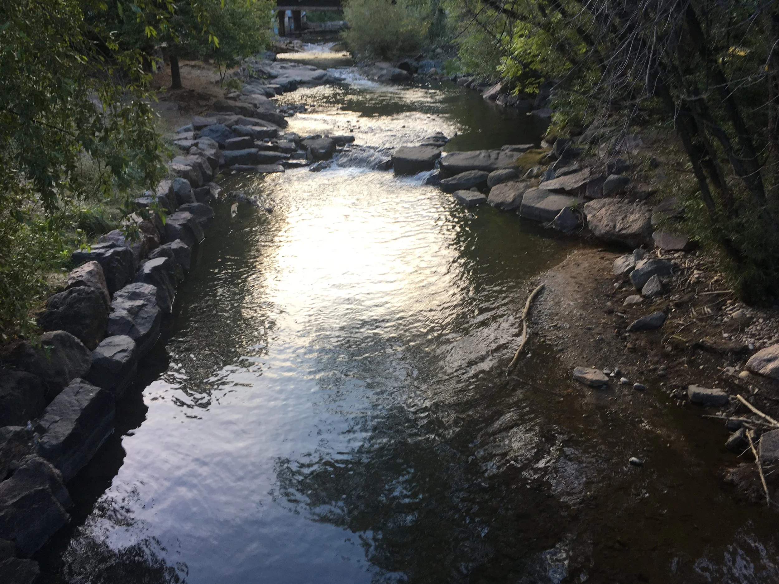 image2.JPG