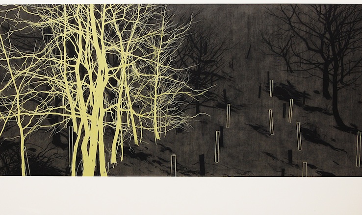 Andrew Mackenzie. Verge 3, 2014
