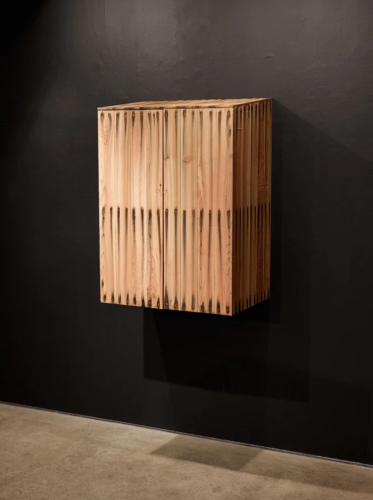Large Bleed Wall Cabinet, 2014