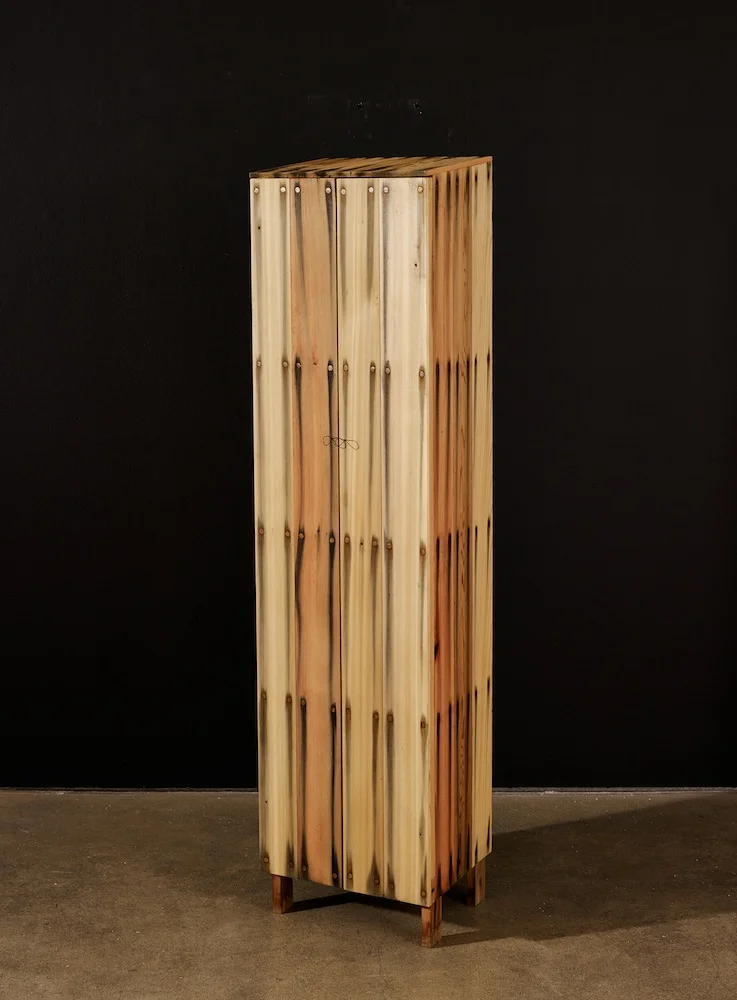 Tall Bleed Cabinet, 2014