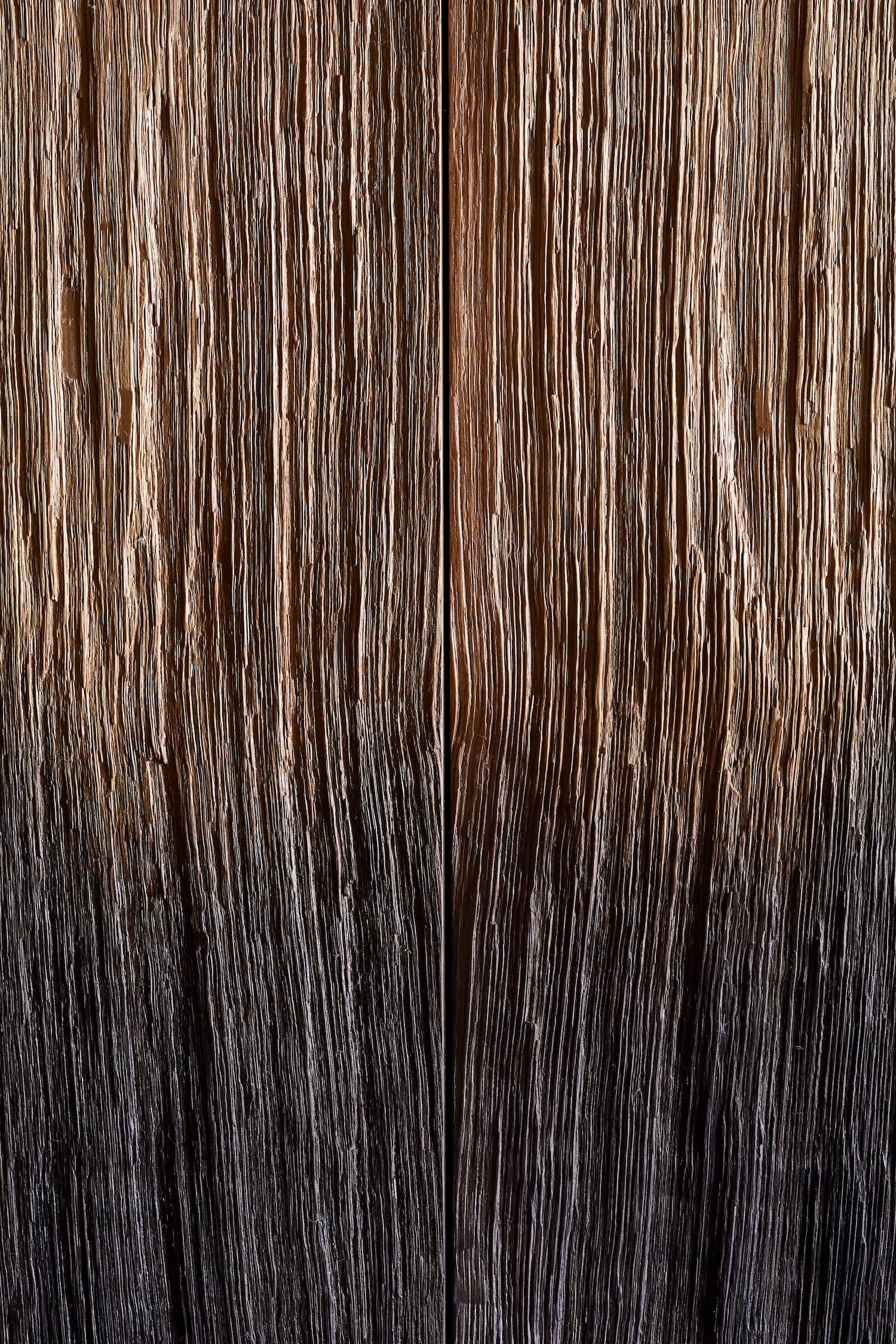 Smoked Oak, 2017.