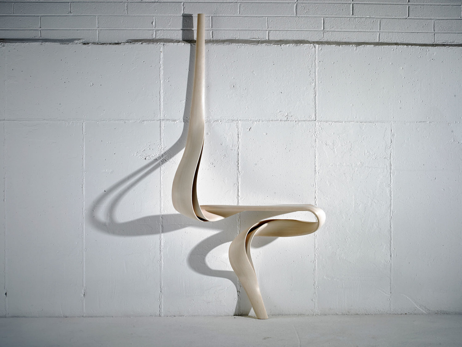 Enignum Shelf XXXI, Dommus Collection, 2017