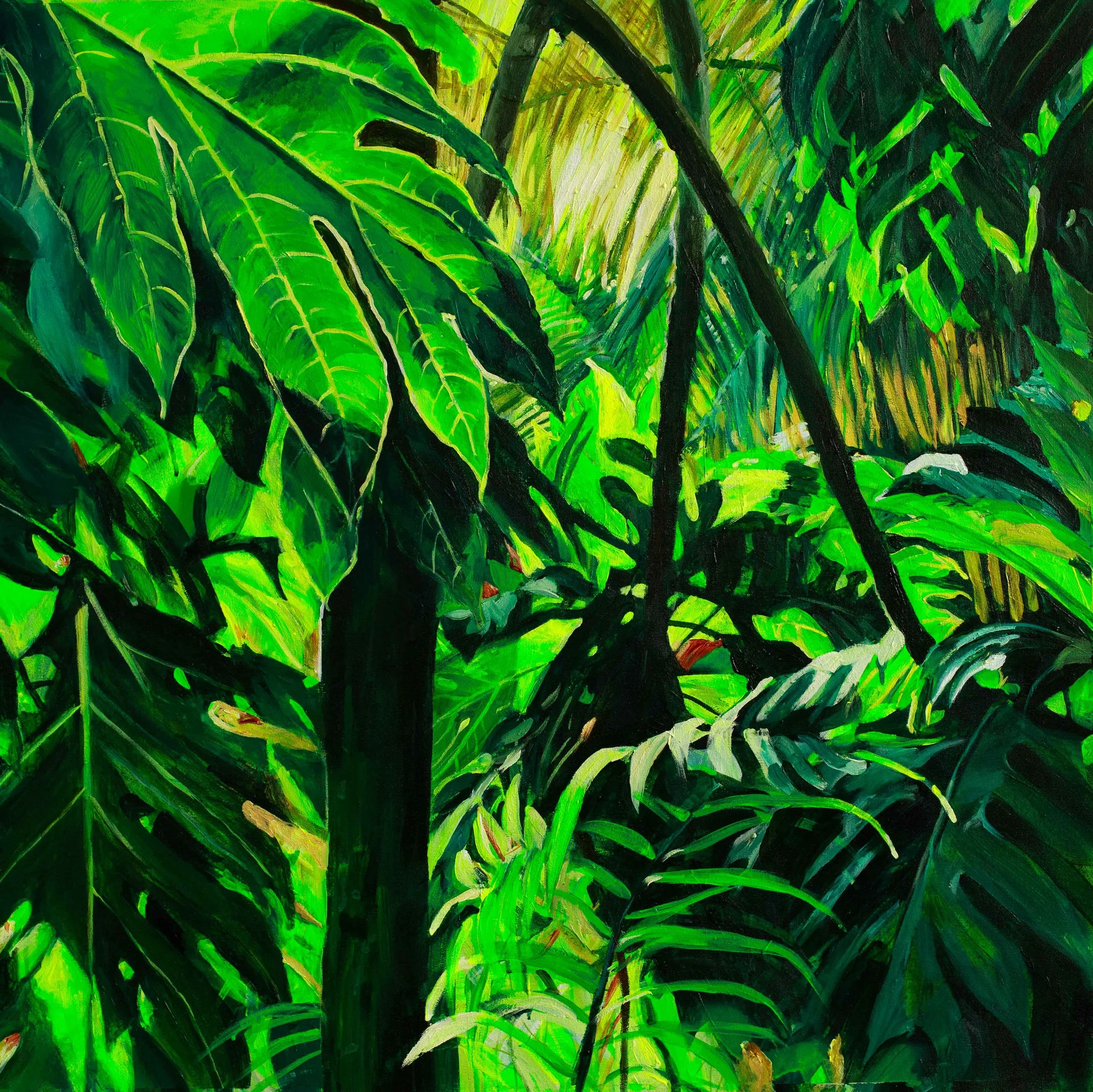 CLAIRE PRICE ARTIST