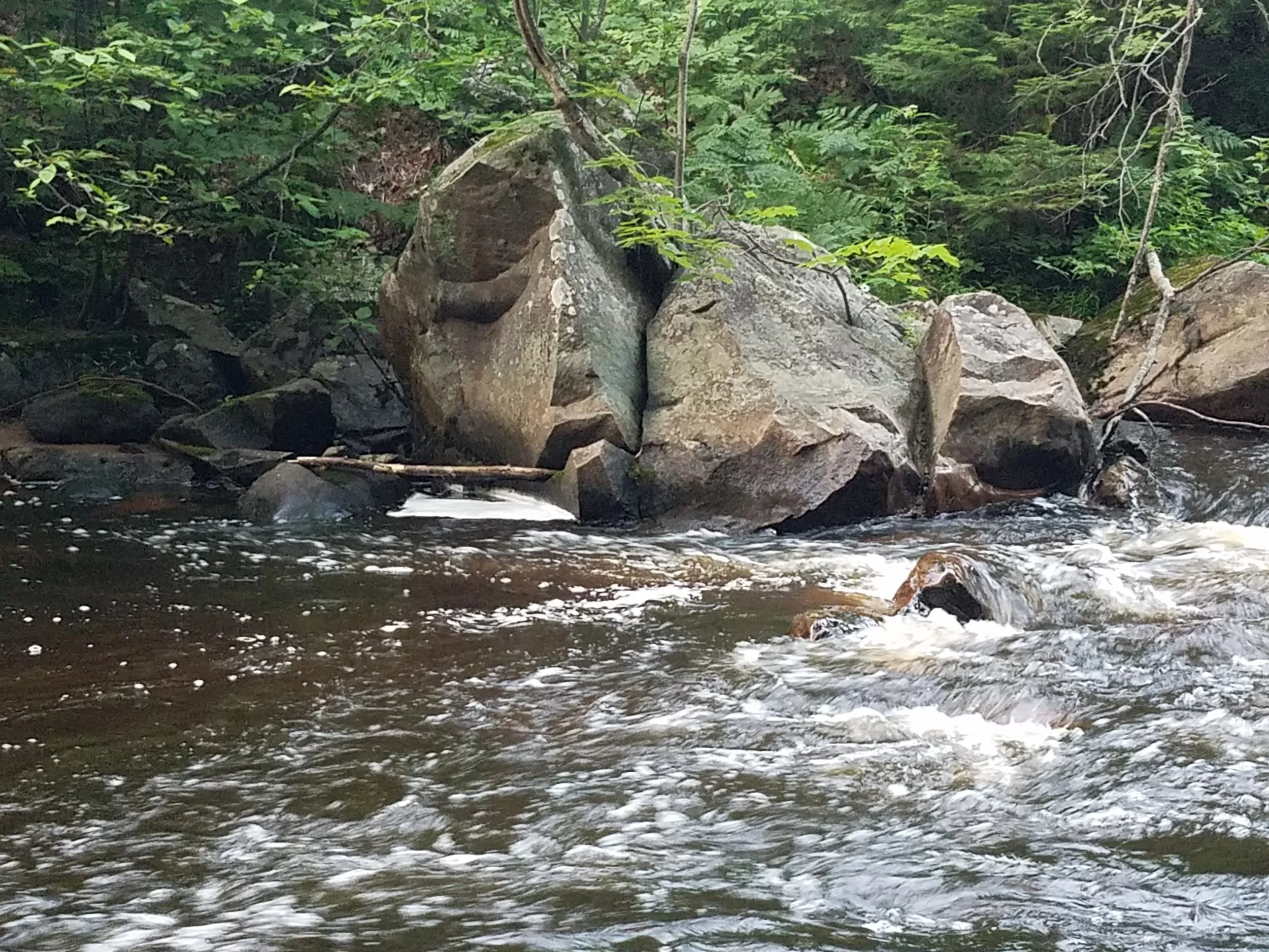 20180713_210532.jpg