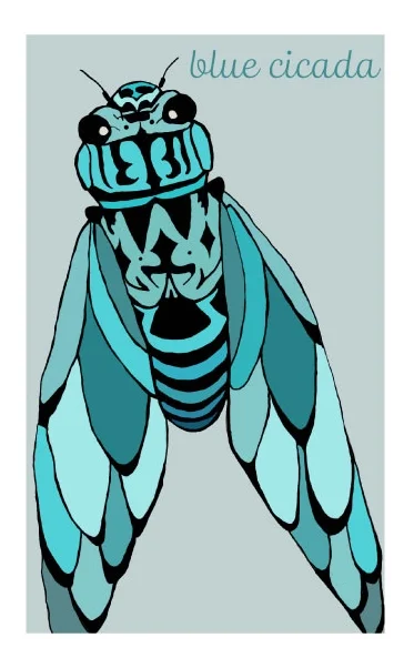 bluecicada.jpg
