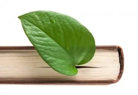 bookleaf-e1413916053959.jpg