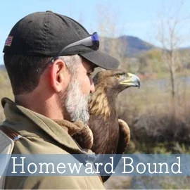 SeaChange-Resources-Homeward-Bound-web.jpg