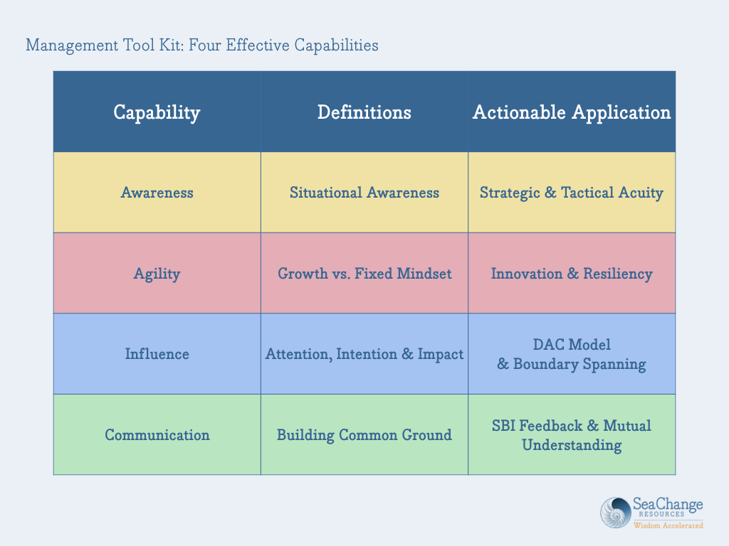 seachange-resources-managers-tool-kit-four-capabilities.jpeg