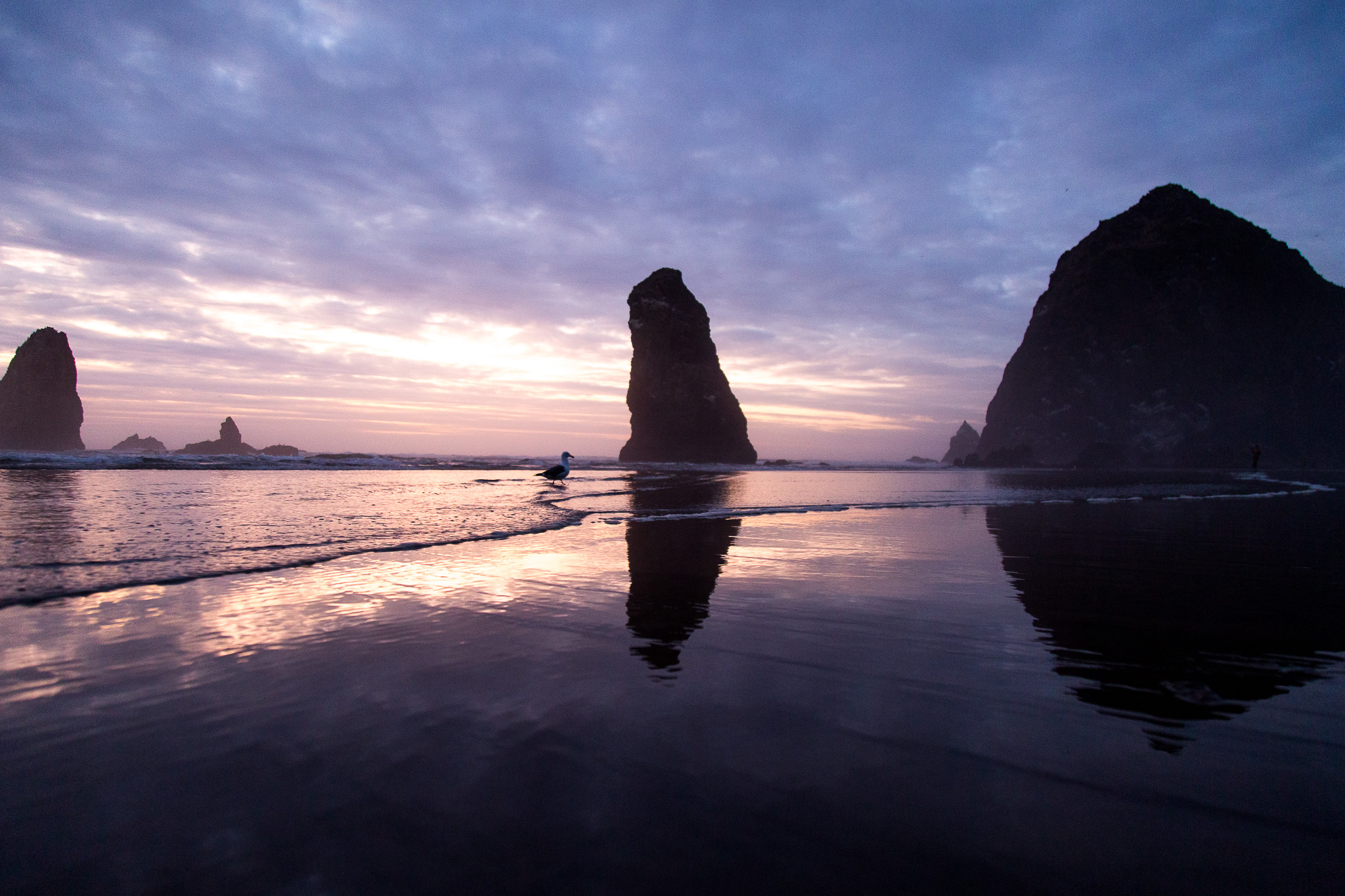 Sunset Haystack Rock.jpg