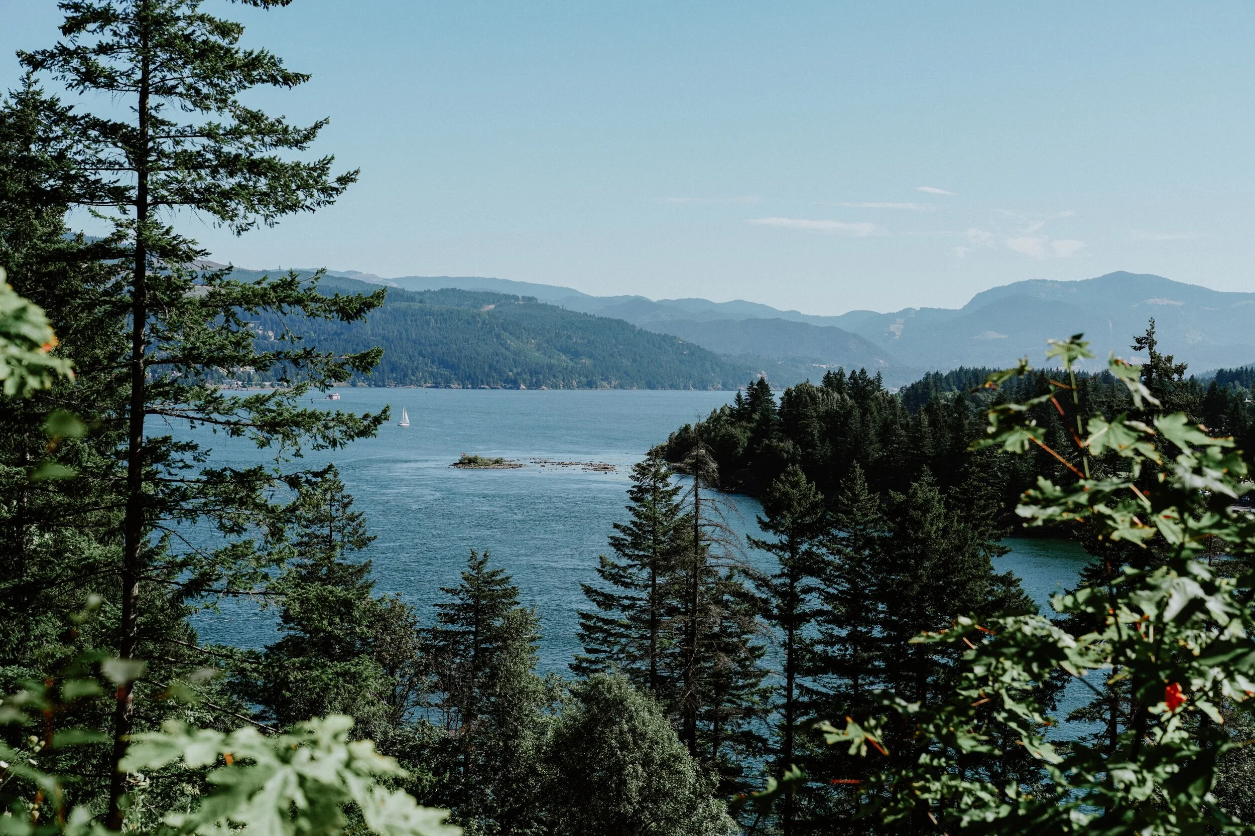 untitled (35 of 62).jpeg