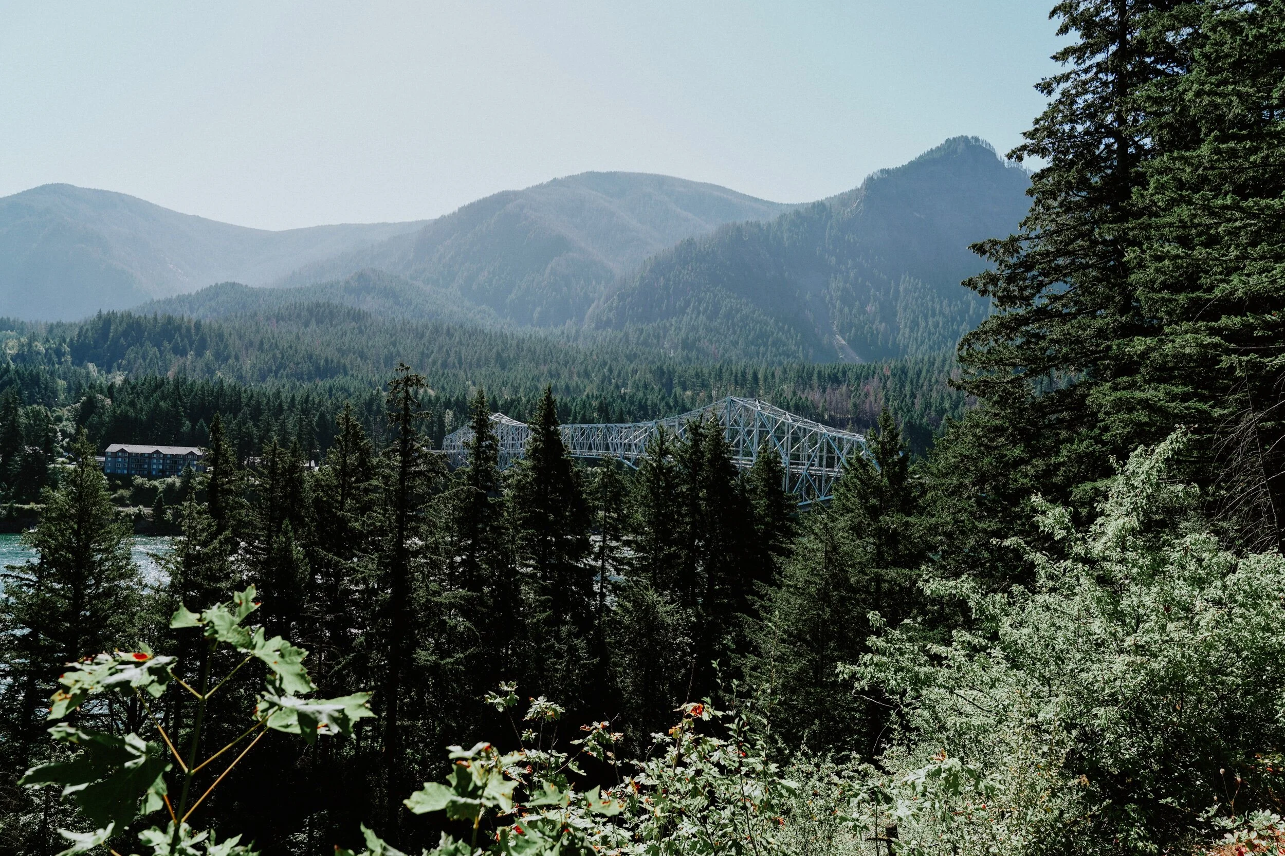 untitled (36 of 62).jpeg