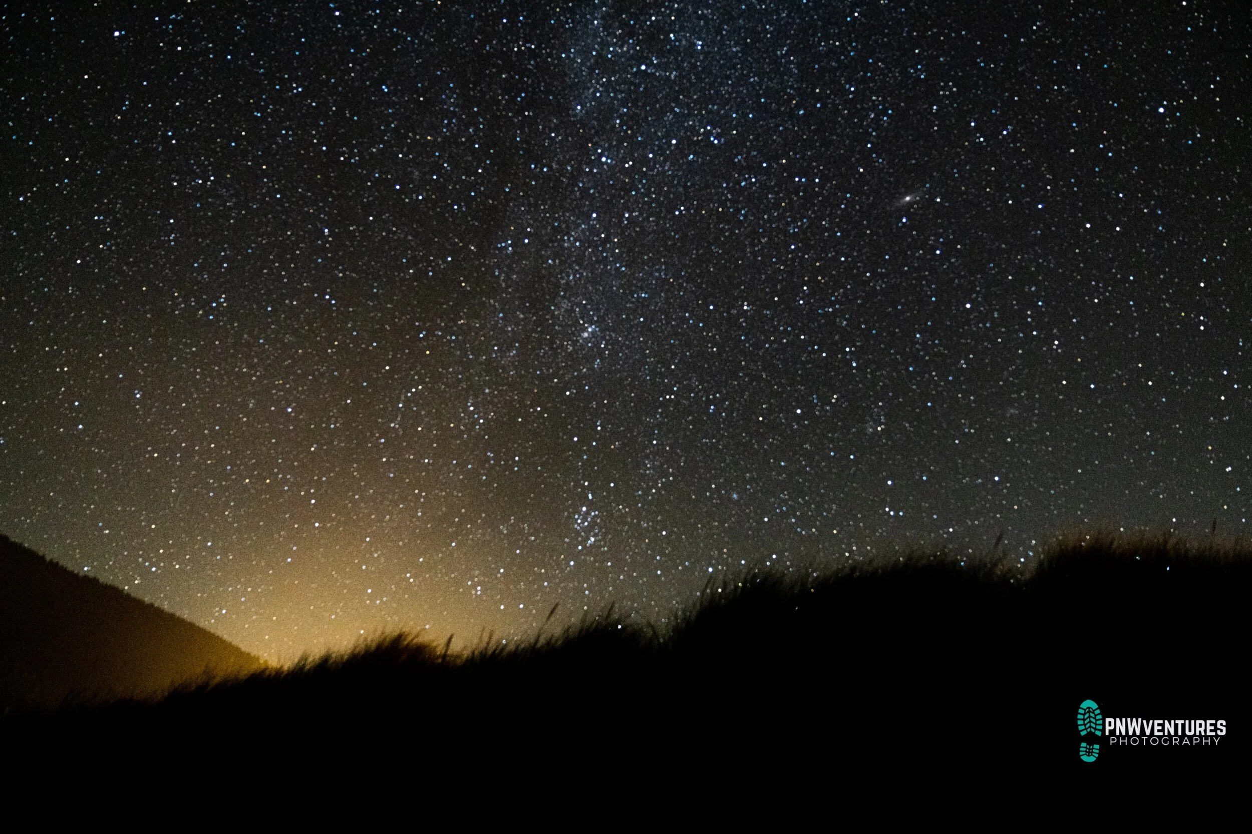 untitled (1 of 1)-3.jpeg