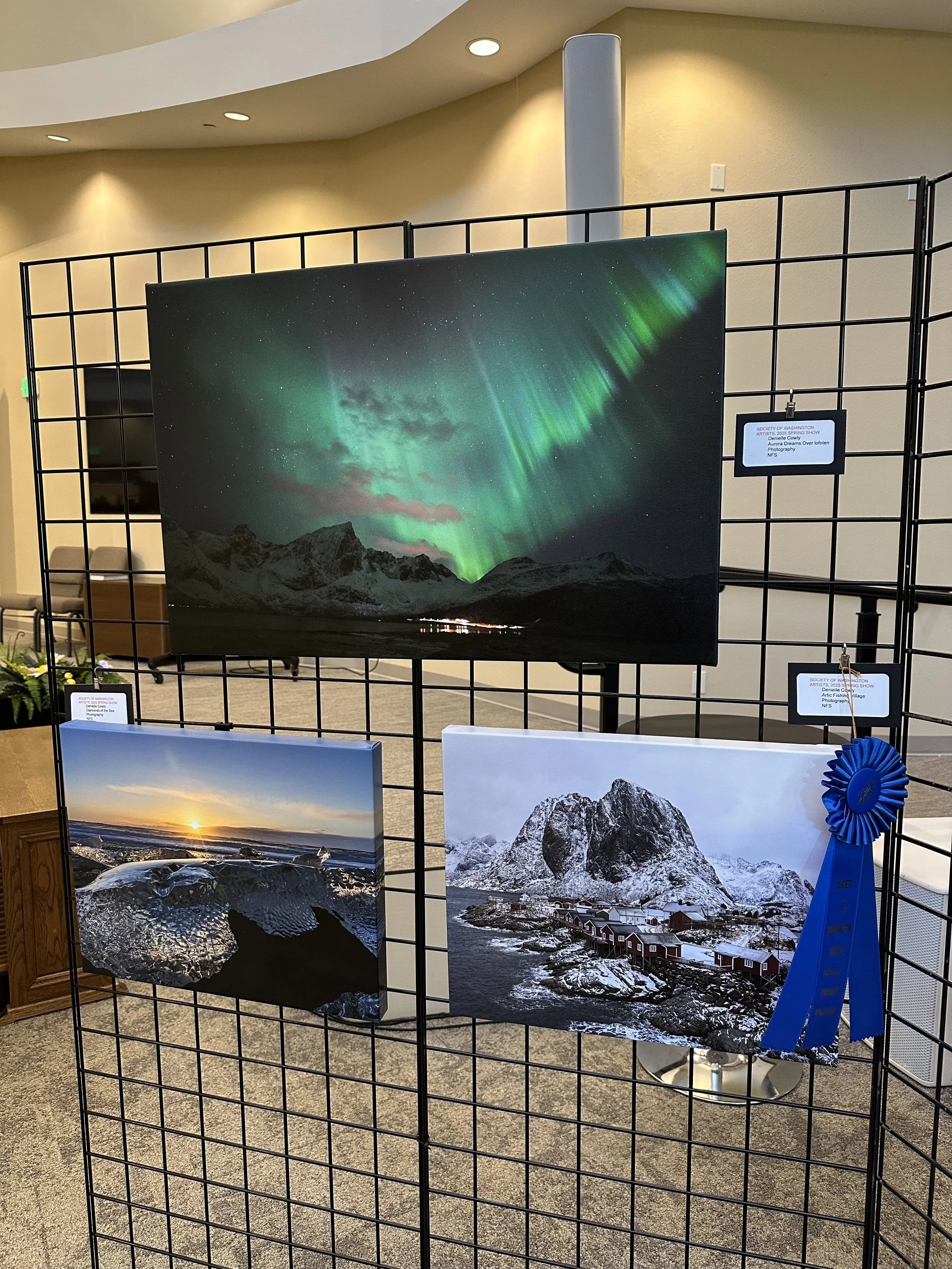 The Society of Washington Artists - Spring Art Show