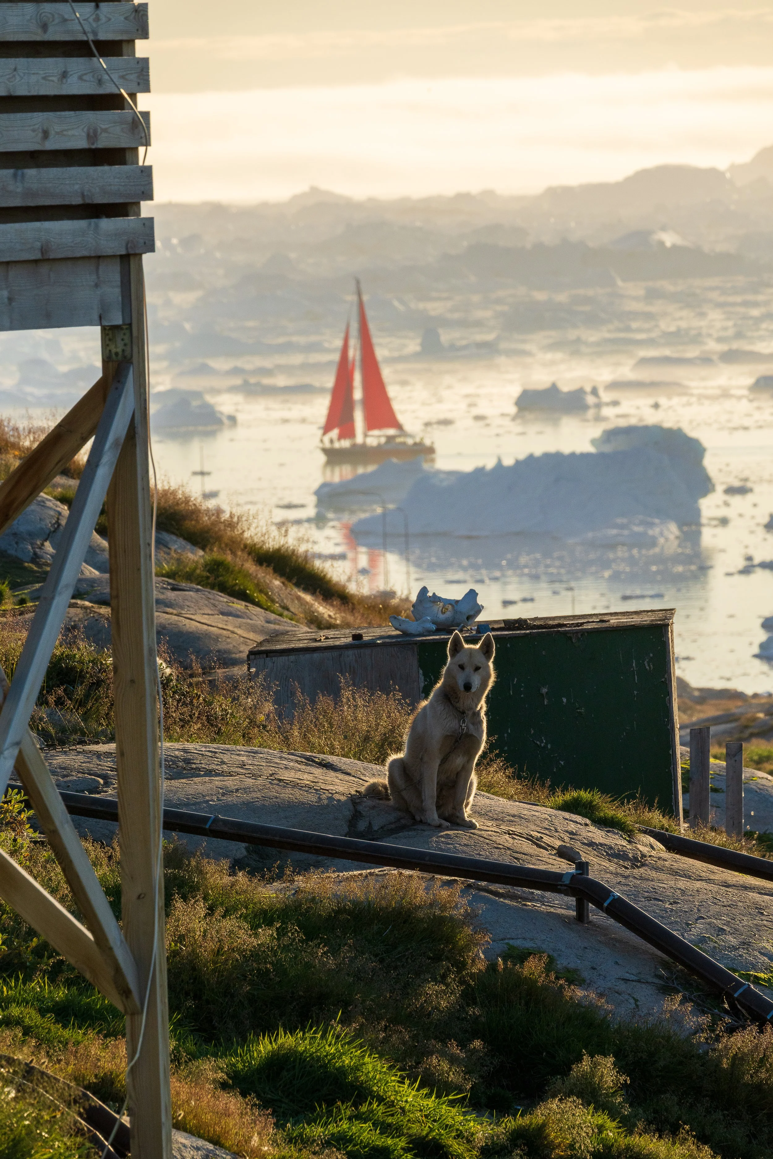 PNWventures-Denielle-Cowley-Greenland Web 1_18-2026-20.jpg