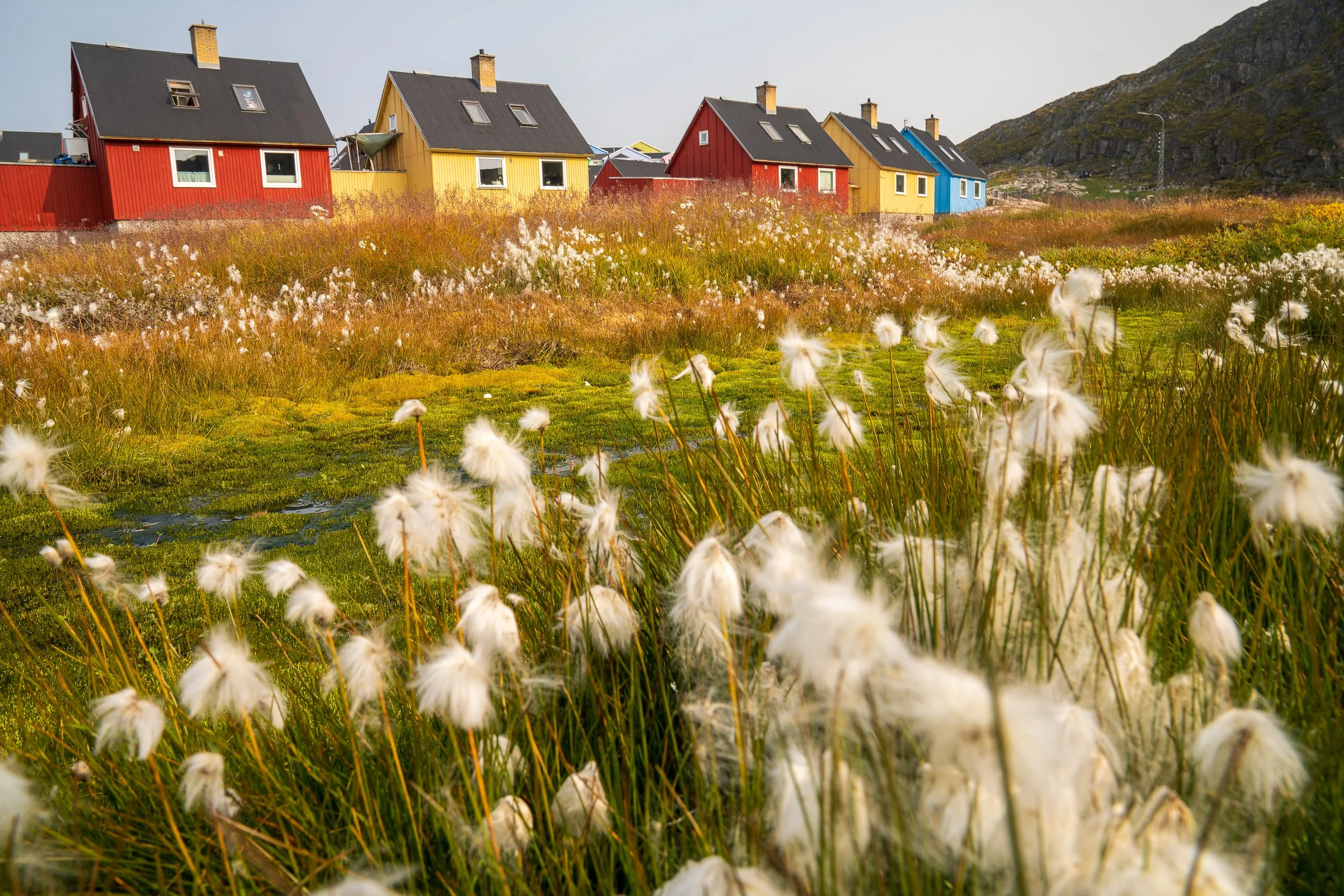 PNWventures-Denielle-Cowley-Greenland Web 1_18-2026-4.jpg