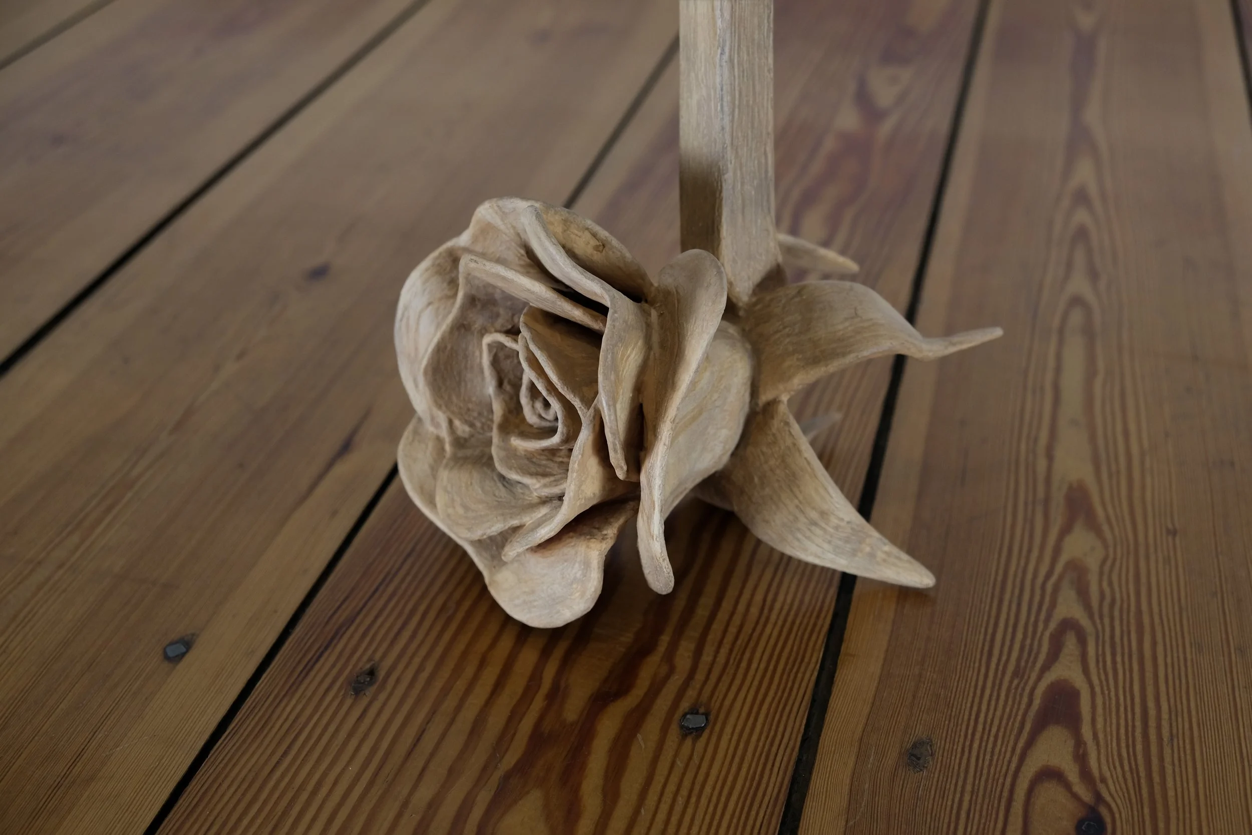 la rosa6.jpg