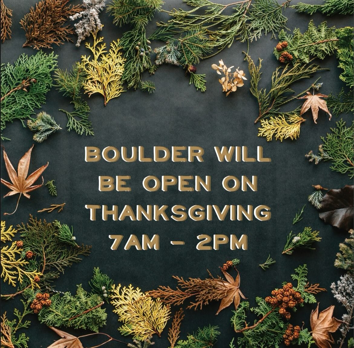 Psssttt The Boulder Shop will be open on Thanksgiving 🍁 To secure your holiday bagels, pre-order your bulk bagels on our app or website! Website in bio!
🍁 The lowry shop is closed Thanksgiving
🍁 The CU shop is closed Thanksgiving and Black Friday