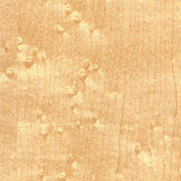Bird's Eye Maple