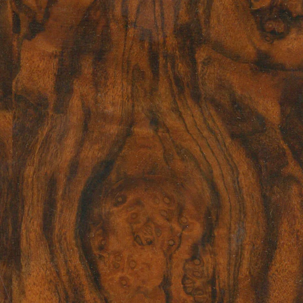 Burl Walnut-Satin