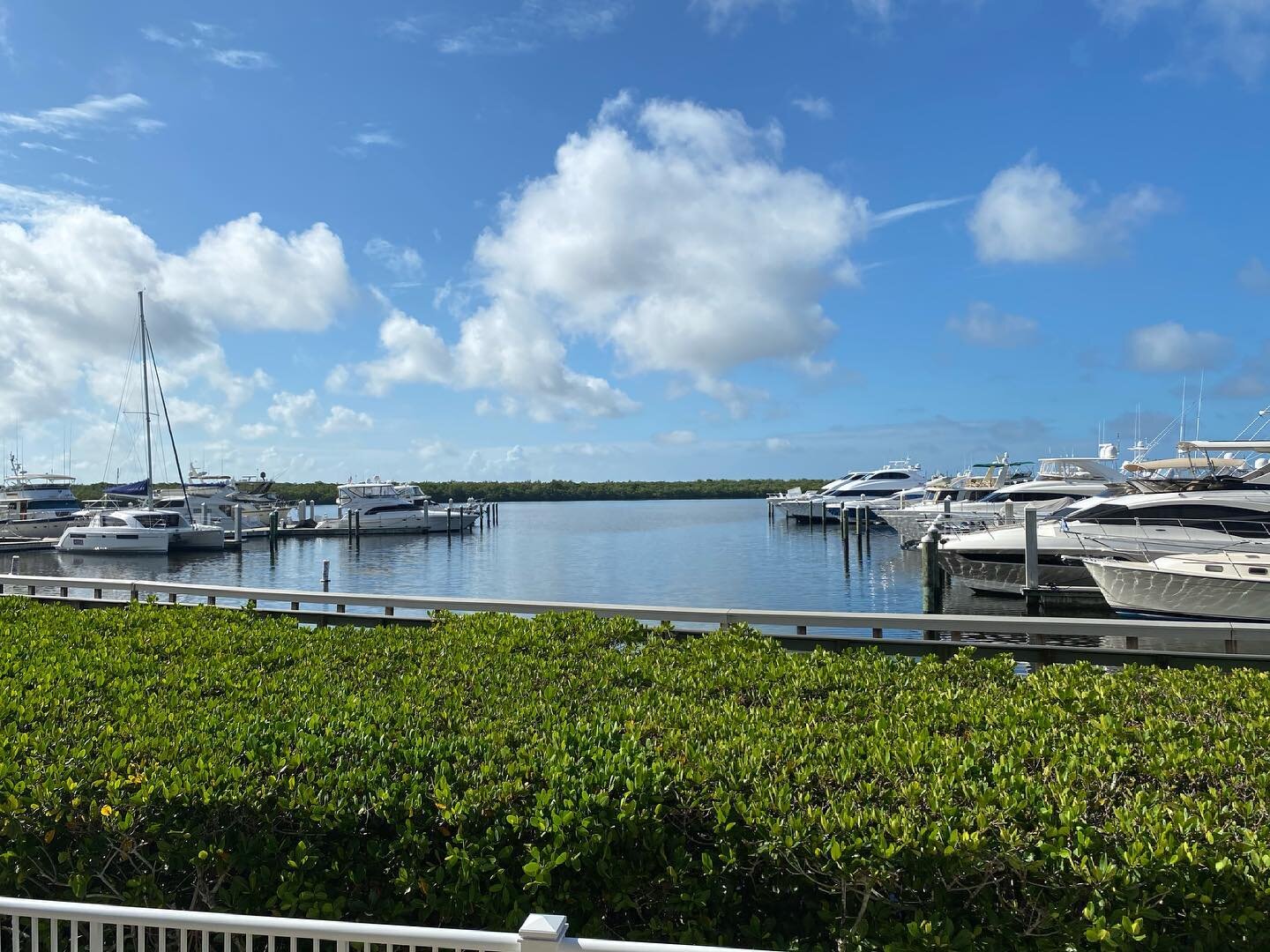 Morning view over the marina at the @westincapecoral