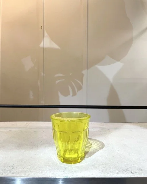 IMG_6956 Medium.jpeg