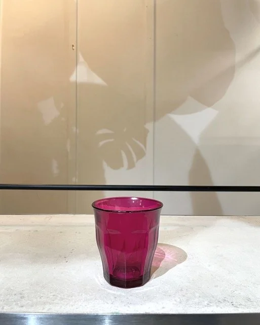 IMG_6958 Medium.jpeg