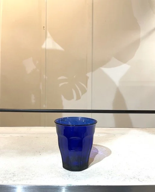 IMG_6954 Medium.jpeg